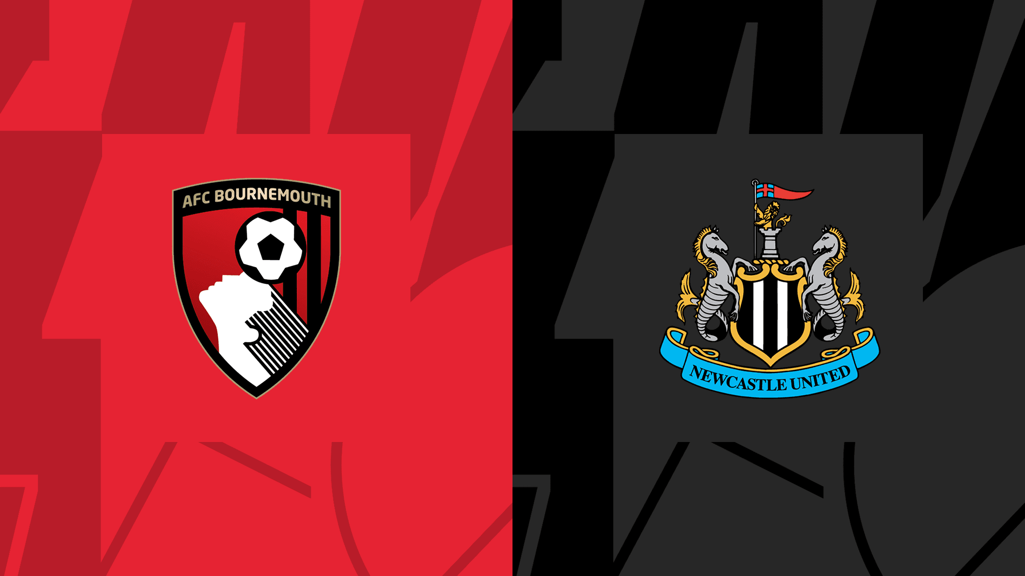 Bournemouth vs Newcastle